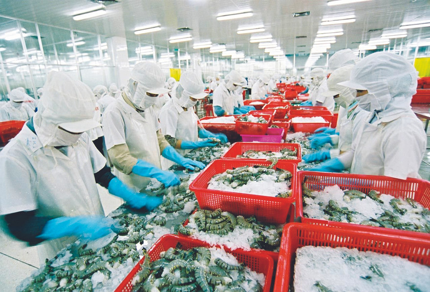 Chế biến thủy sản xuất khẩu ảnh: p.v