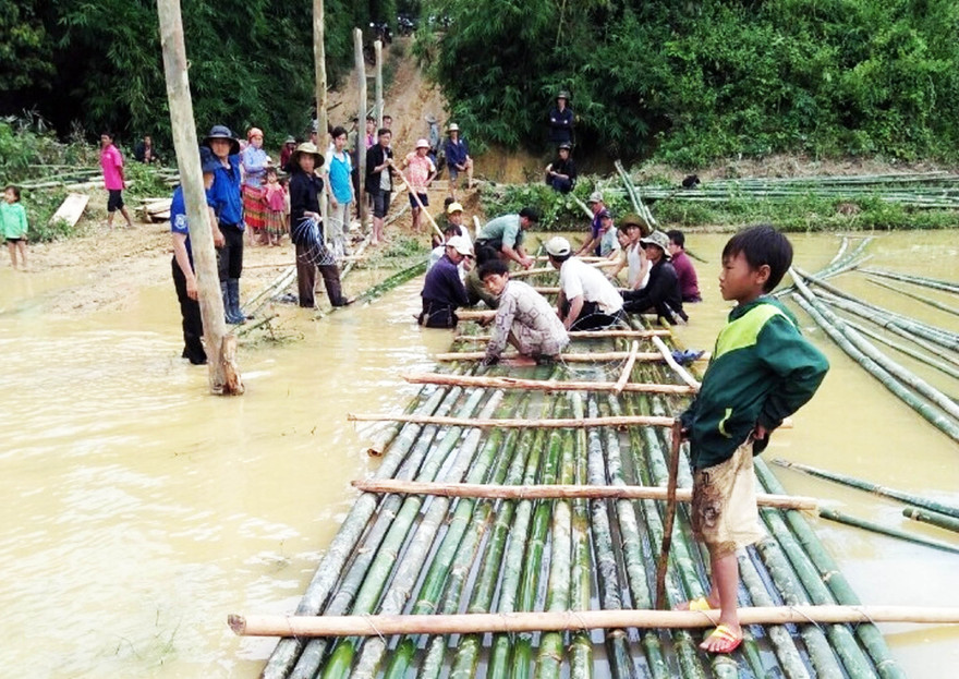 Dân DCTD kết tre làm cầu tạm 