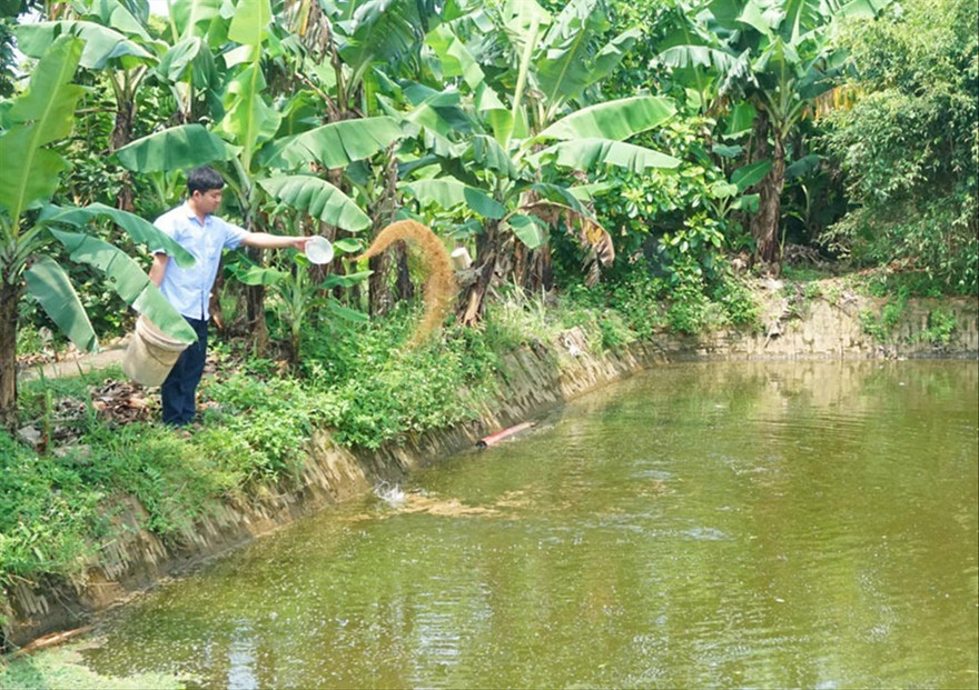 Anh Trần Văn Trường bên trang trại của mình 