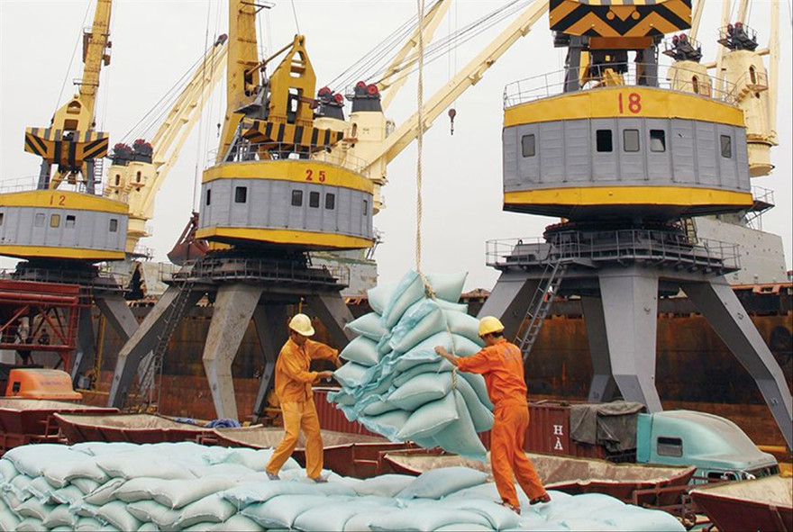 Nghị viện châu Âu thông qua EVFTA, mở ra cơ hội mới về thị trường xuất khẩu cho Việt Nam 