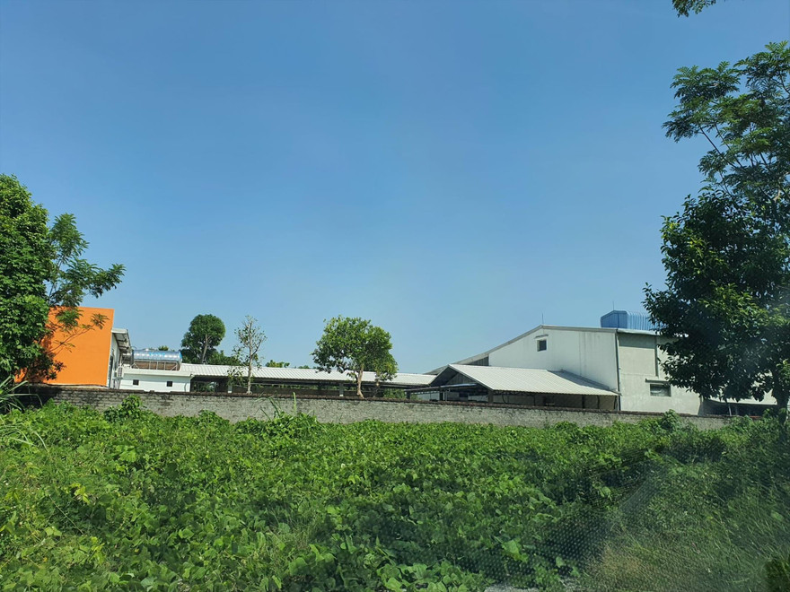 Nhà xưởng rộng hàng nghìn mét vuông trên đất lâm trường 