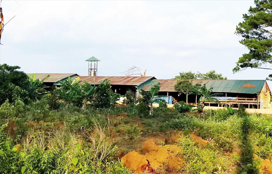 Phá rừng lập trang trại rộng cả chục héc ta