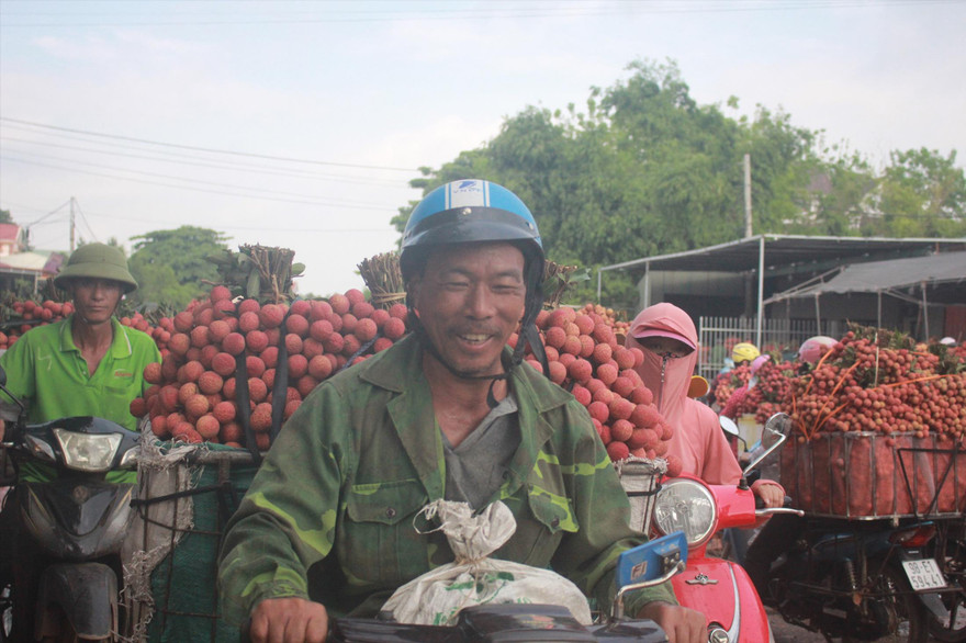 Người trồng vải thiều Bắc Giang vui mừng vì có một mùa vụ bội thu. Ảnh: N.T