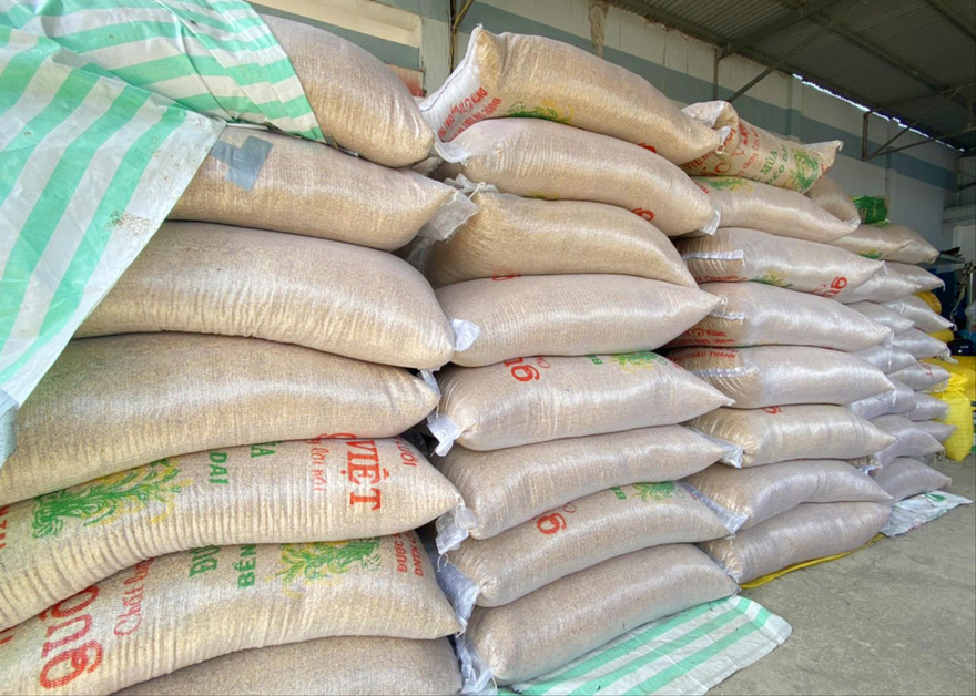 Một điểm tập kết lúa của Cty Thiên Đàng ở An Giang. ẢNH: NN