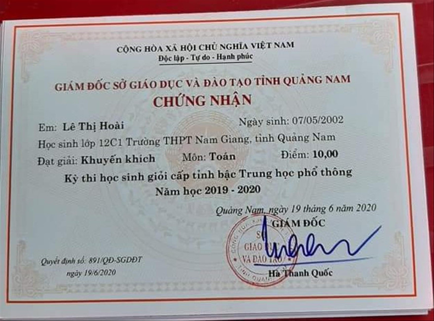 Thành tích thi học sinh giỏi toàn tỉnh của em Hoài 