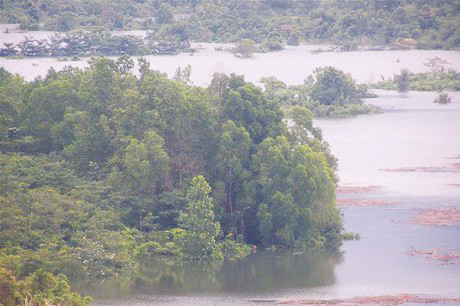 Cả cánh rừng đang bị ngập dưới lòng hồ Rào Quán 
