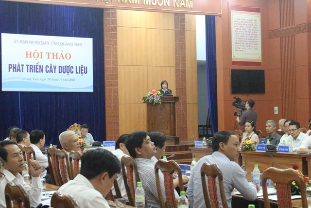 Toàn cảnh hội thảo