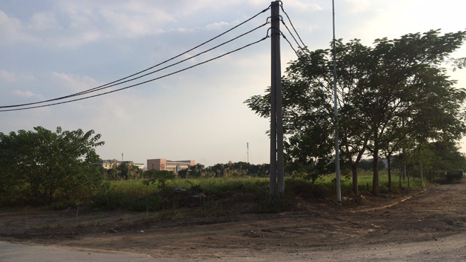 Các khu đất xây dựng khu nhà ở giãn dân phố cổ cỏ mọc um tùm chưa biết bao giờ có nhà. Ảnh: Tú Anh