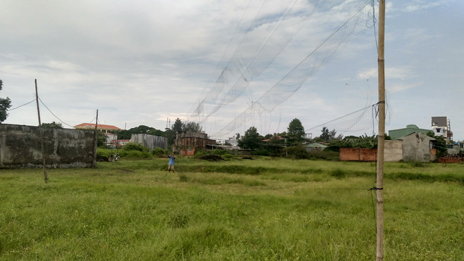 Chiếc bẫy chim bằng lưới trên cánh đồng sau mùa gặt.