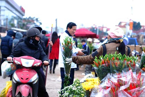 Nghỉ Tết Dương, miền Bắc rét đậm, miền Trung mưa to