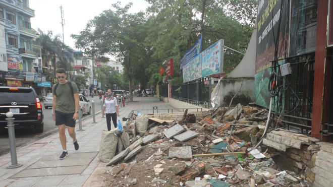 Nhếch nhác nơi cây đổ