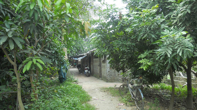 Khu đất bị thu hồi.