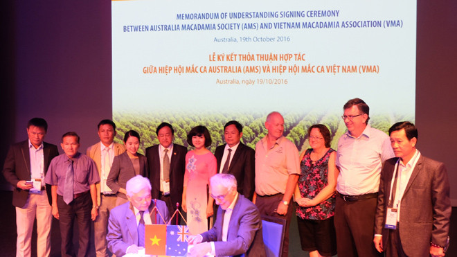 LienVietPostBank tiếp tục đồng hành cùng Mắc ca