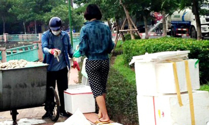 Hình ảnh đôi nam nữ lấy cá chết ở hồ Tây cho vào thùng xốp. Ảnh người dân cung cấp
