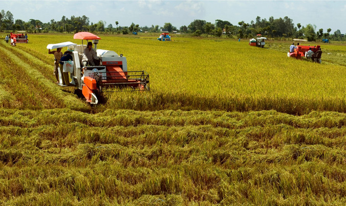 Gỡ khó cho nông nghiệp ngoài lãi suất còn là cơ chế, thủ tục. Ảnh: Phạm Anh