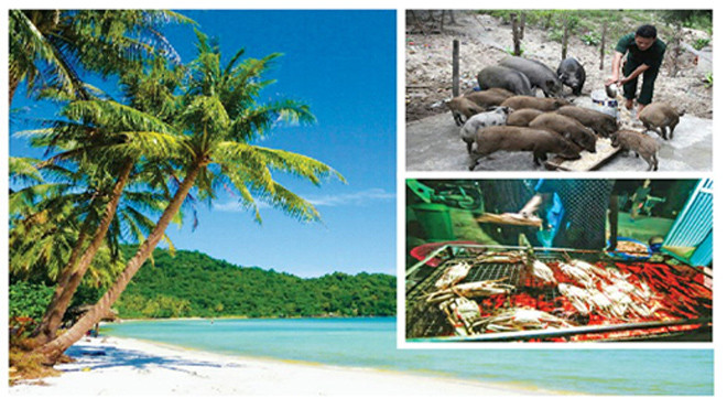 Sinh hoạt của Robinson trên đảo Thiên Đường.