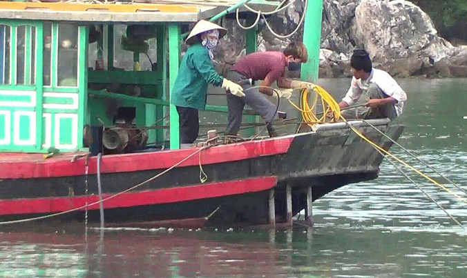 Phá nhũ đá đang diễn ra trên di sản Vịnh Hạ Long.