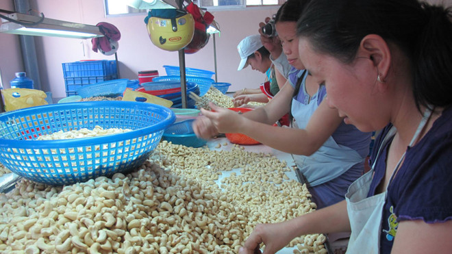 Có nhiều nguồn giải cơn “khát” vốn cho DNNVV như tham gia các hiệp hội, liên minh liên kết, Quỹ phát triển DNNVV…. Ảnh: U.Phương