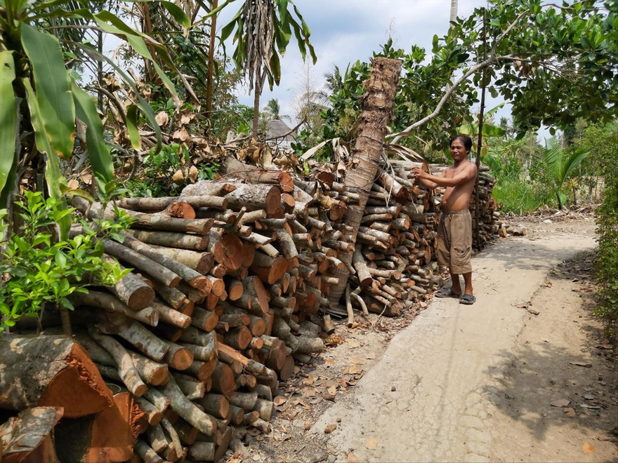 Ông Trần Văn Hải bên đống củi chôm chôm 