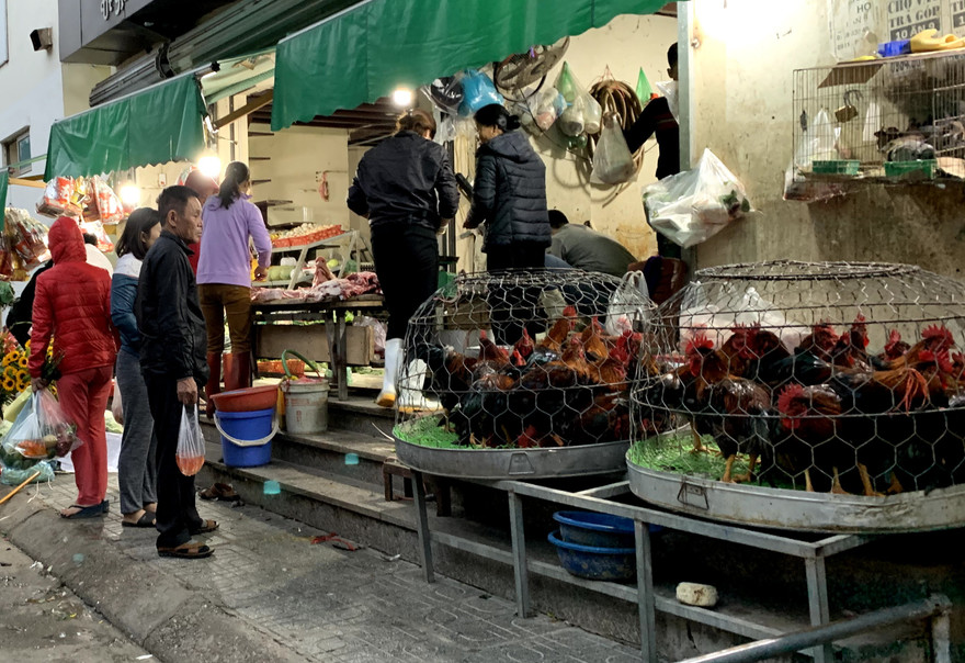 Ổ dịch cúm gia cầm tại huyện Chương Mỹ. (Trong ảnh: Gia cầm được buôn bán tại chợ cóc ở khu đô thị Linh Đàm, Hoàng Mai, Hà Nội). Ảnh: Nhật Minh