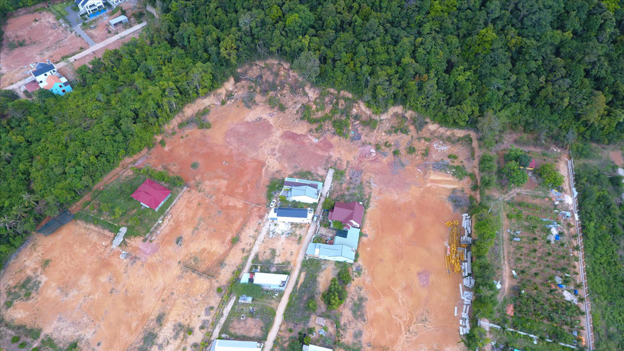 Rừng ở Phú Quốc bị xâm lấn nghiêm trọng. Ảnh: Nhật Huy