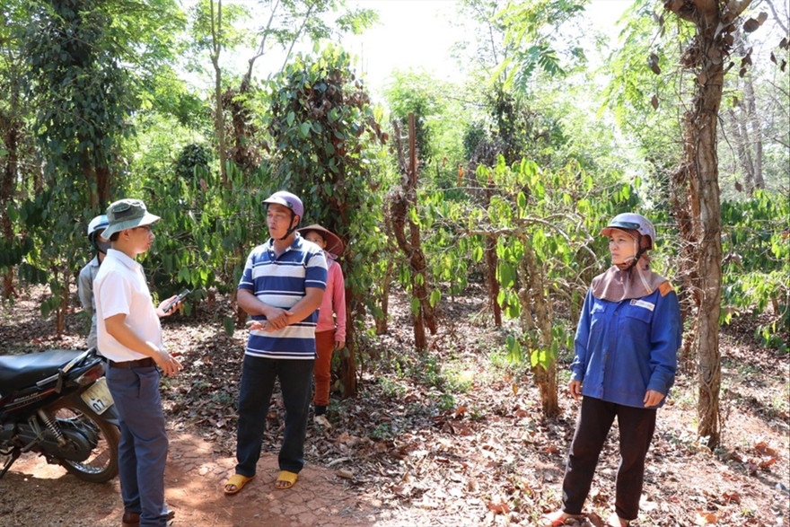 Các hộ dân ở Chư Sê bên phần đất của gia đình chưa nhận được tiền đền bù, hỗ trợ