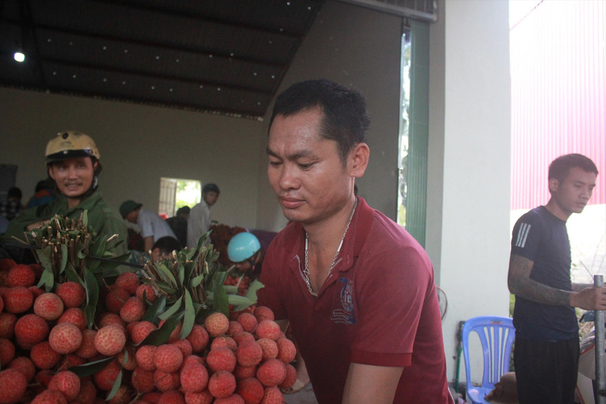 Anh Mạc Hồng Quân gần 20 năm gắn bó với nghề phu vải