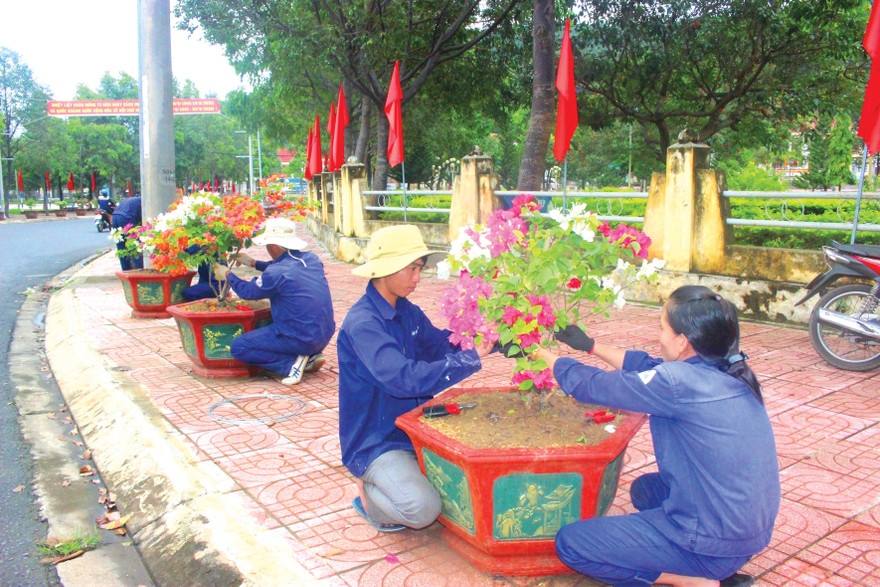 Nhiều chậu hoa, cây xanh được làm đẹp đường phố 