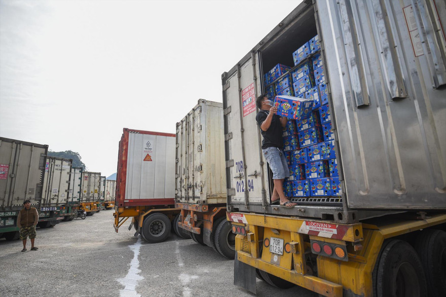 Khoảng 2.600 xe chở nông sản đang chờ thông quan tại các cửa khẩu ở Lạng Sơn. Ảnh: Bình Phương