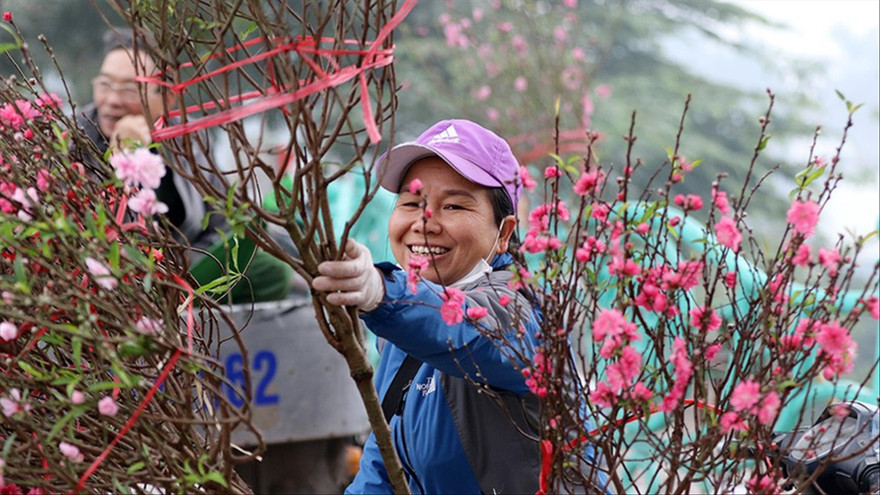 Thời tiết dịp Tết Nguyên đán Canh Tý có thể ấm hơn trung bình nhiều năm và hoa đào sẽ nở rộ. Ảnh: Hoàng Mạnh Thắng 