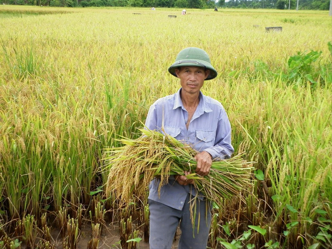 Nông dân cần được hỗ trợ, để sống được trên mảnh ruộng nhà mình. Ảnh: Bình Phương