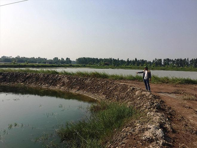 Ruộng bị múc trộm thành ao nhưng chính quyền chây ì xử lý ảnh: Võ Hóa