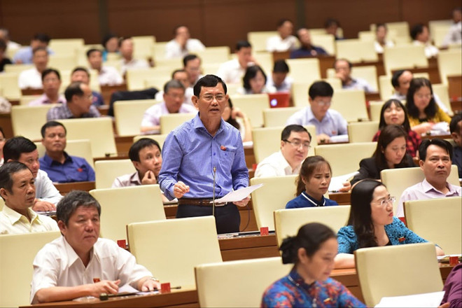 Đại biểu Nguyễn Ngọc Phương 