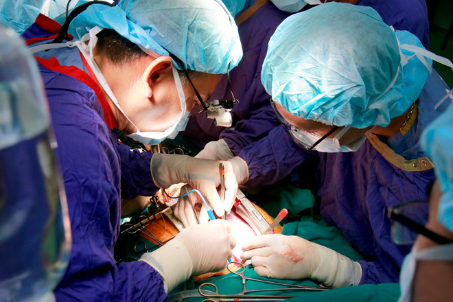 Bác sĩ BV Việt Đức ghép tạng từ người cho chết não 