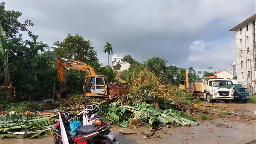 Lực lượng chức năng quận Sơn Trà thực hiện cưỡng chế thu hồi đất vào sáng ngày 9/12 Ảnh: Nguyễn Thành 