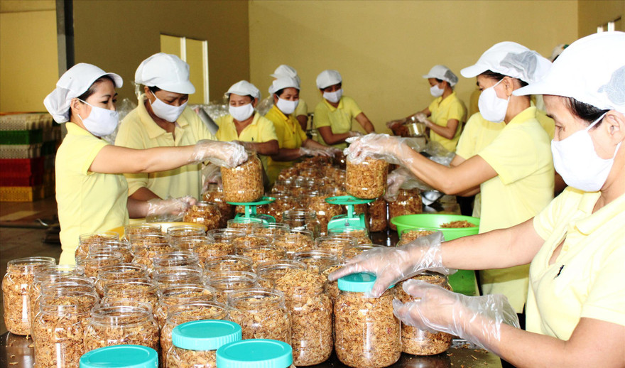 Thiếu lao động, doanh nghiệp TPHCM chật vật sản xuất Ảnh: Uyên Phương