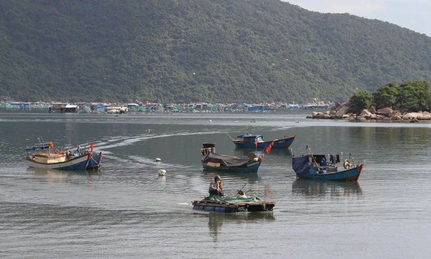 Người dân đánh bắt, nuôi trồng thuỷ sản trên cảng Vũng Rô - Ảnh: CÔNG HOAN