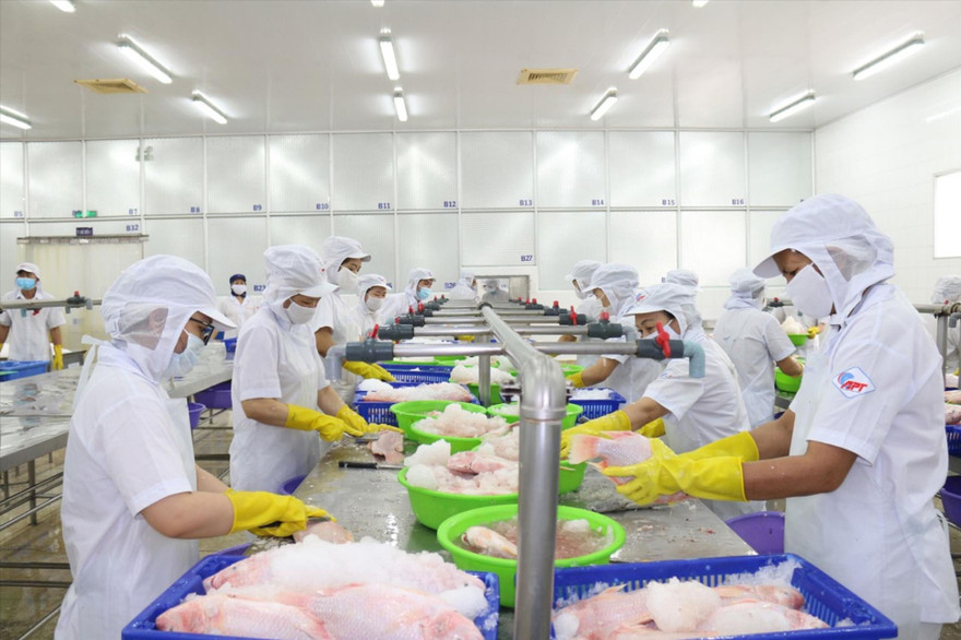 Hoạt động sản xuất kinh doanh phục hồi tại nhiều doanh nghiệp