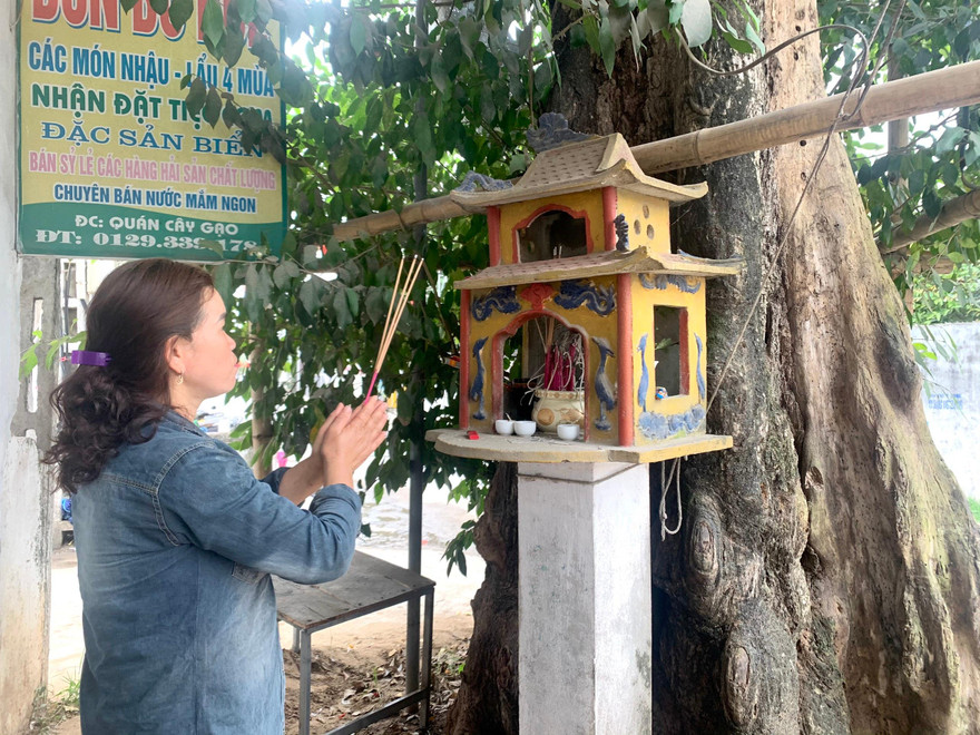 Từ bao đời nay, người dân Diễn Kim coi cây gạo trở thành một phần không thể thiếu trong đời sống tinh thần của họ Ảnh: T.H 