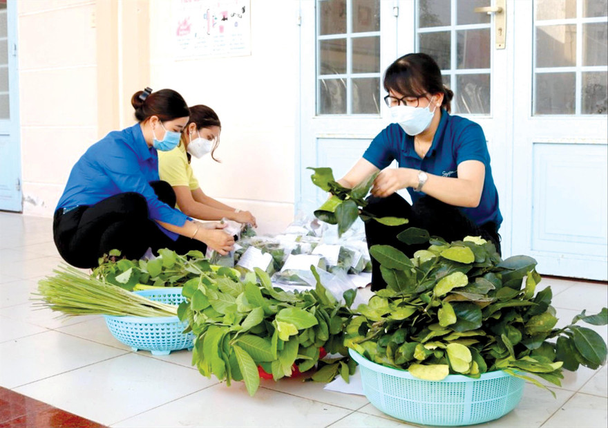 ĐVTN đóng gói “Túi thuốc xông thảo dược” Ảnh: Kim Hà 