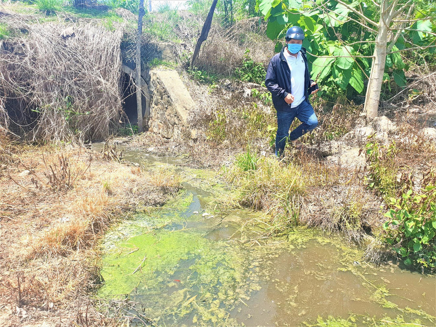 Một mương nước màu đen, bốc mùi hôi thối, nằm phía sau trại nuôi heo 