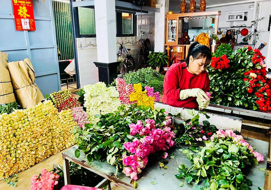 Giá hoa Đà Lạt đang tăng 
