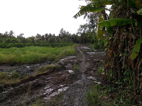 Con đường có “trạm thu phí” của gia đình ông Đợi Ảnh: Kim Hà 