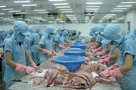 Nông sản, thủy sản sẽ được hưởng lợi lớn từ EVFTA. Ảnh: Châu Anh 