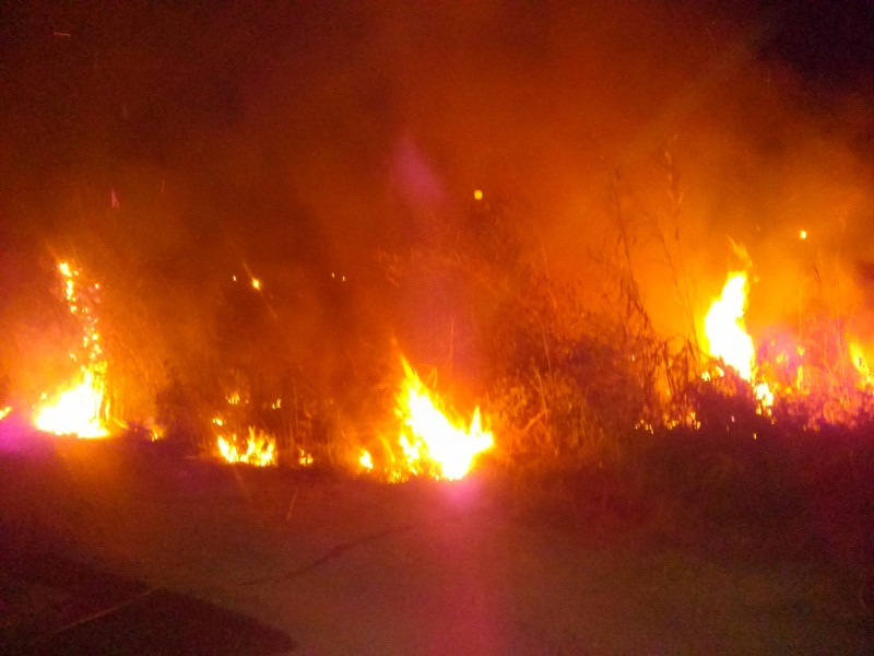 Hiện trường vụ cháy. Ảnh: Hòa Hội