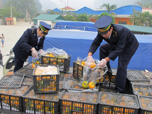 Theo VCCI, các thủ tục kiểm tra chuyên ngành cần được tiếp tục tháo gỡ Ảnh: Bình Phương 