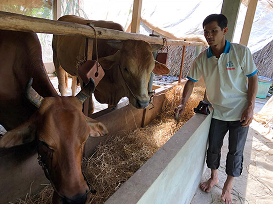 Anh Danh Hoàng thành công với mô hình sản xuất khép kín trên quê hương Ảnh: CTV 