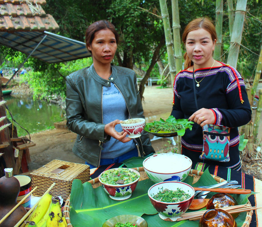 Kiến vàng được người Ê Đê chế biến thành nhiều món hấp dẫn 