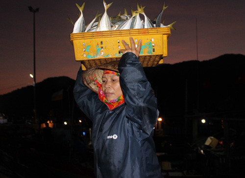 Những nữ phu cá mưu sinh trong đêm tại cảng cá Cửa Sót