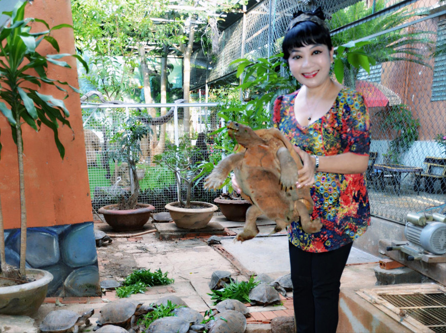 Tác giả với con rùa hơn 10 kg và đã 20 tuổi 